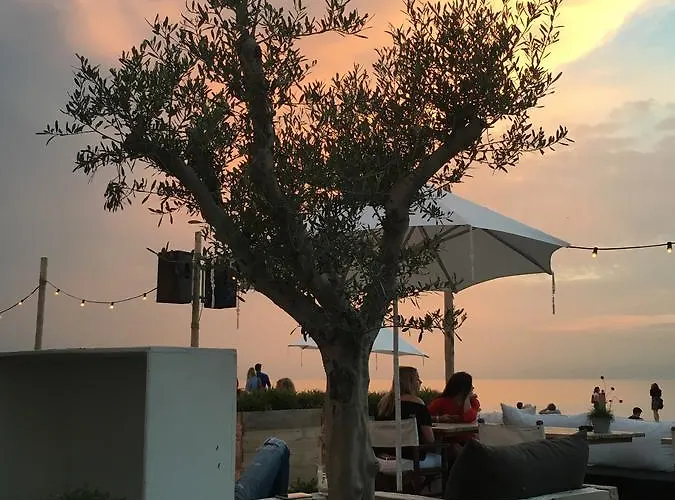 Pansiyon Casa Martine Noordwijk